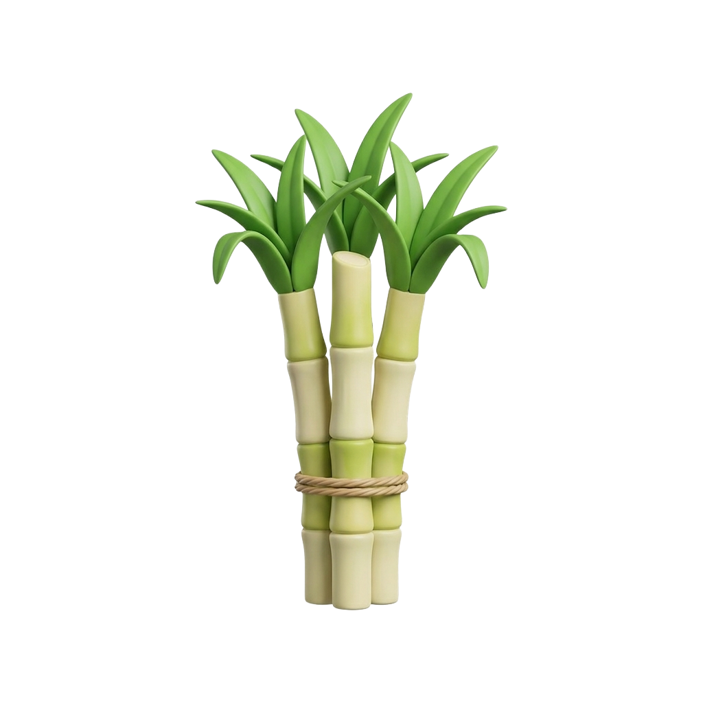 sugarcane